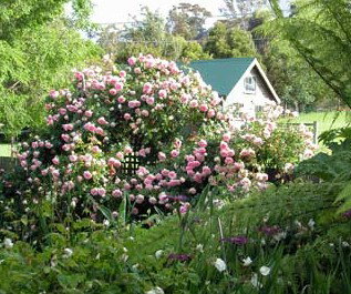 Conmel Cottage - Holiday Adelaide 2