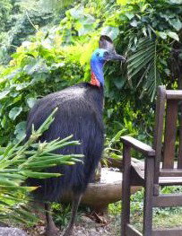 Sanctuary Retreat - Holiday Adelaide 2