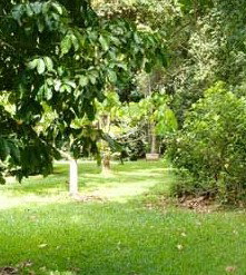 Julatten QLD Holiday Adelaide