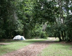 Kingfisher Park Birdwatchers Lodge - Holiday Adelaide 5