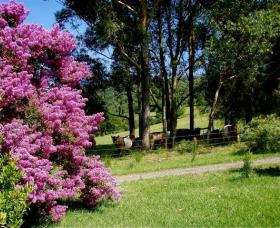 Figlea Cottages - Holiday Adelaide 0