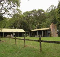 Tree Fern Lodge - Holiday Adelaide