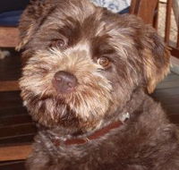 Lagoon Pocket Bed and Breakfast - Holiday Adelaide