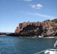 Art on Hart - Holiday Adelaide