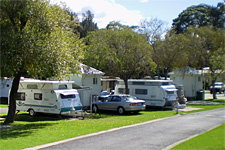 Pleasurelea Tourist Resort And Caravan Park - Holiday Adelaide 1