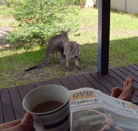 Bush and Bay Cottage - Holiday Adelaide