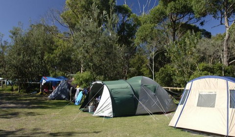 Booderee National Park: Cave Beach Camping Area - Holiday Adelaide 3