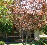 Akame - Holiday Adelaide