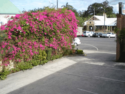 Mullumbimby Lyrebird Motel - Holiday Adelaide 2