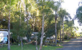 Lismore Palms Caravan Park - Holiday Adelaide 1