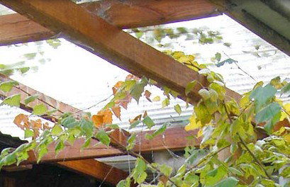 Cooma Bunkhouse Motel - Holiday Adelaide 2