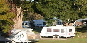 Bellinger River Tourist Park - Holiday Adelaide 3
