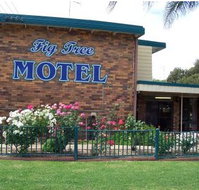 Fig Tree Motel - Holiday Adelaide