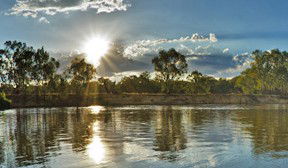 Club Motor Inn Narrandera - Holiday Adelaide 3