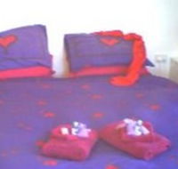 Aloomba Lavender - Accommodation - Holiday Adelaide