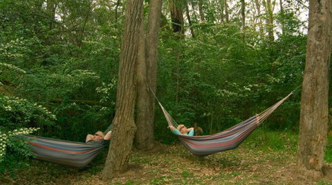 Bingle Tree Retreat - Holiday Adelaide 1