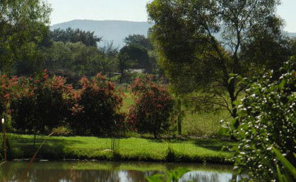 Amazing Country Escapes - Evanslea By The River - Holiday Adelaide 4