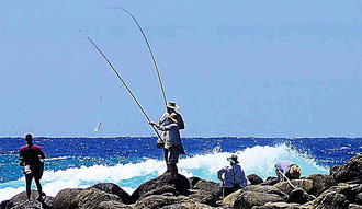 Fraser Island Fishing Units - Holiday Adelaide 3