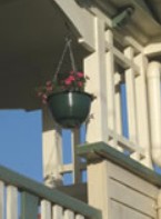 Eco Queenslander Holiday Home And B&B - Holiday Adelaide 2