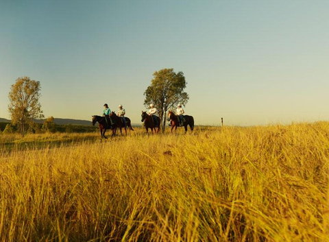 Spicers Hidden Vale - Holiday Adelaide 1