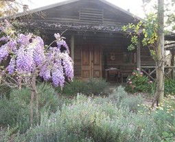 Barney Creek Vineyard Cottages - Holiday Adelaide 3