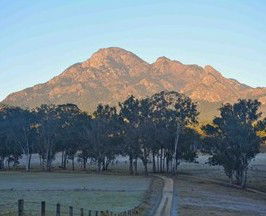Barney Creek Vineyard Cottages - Holiday Adelaide 5