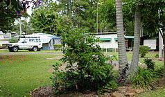 Lilyponds Holiday Park - Holiday Adelaide 5