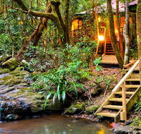 The Mouses House - Rainforest Retreat - Holiday Adelaide