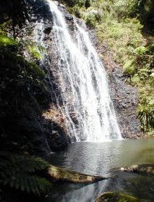 Beechmont QLD Holiday Adelaide