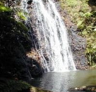 Binna Burra Mountain Lodge - Holiday Adelaide