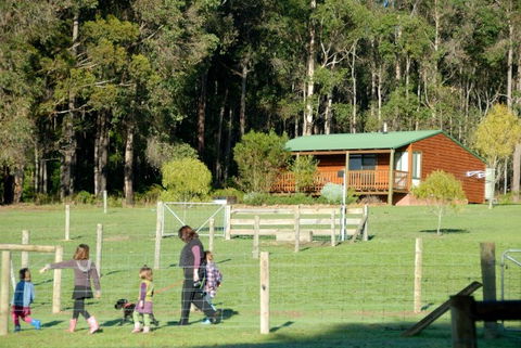 Diamond Forest Farm Stay - Holiday Adelaide 0