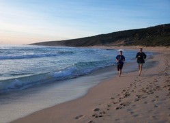 Karri Patch Cottage - Holiday Adelaide 1