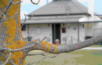 Dunalan Host Farm Cottage - Holiday Adelaide 1