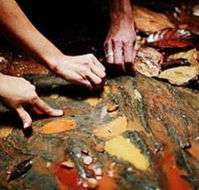 Daintree Eco Lodge And Spa - Holiday Adelaide