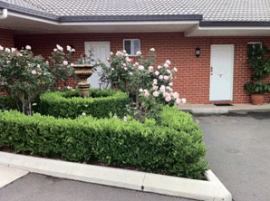 Akuna Motor Inn - Holiday Adelaide 4