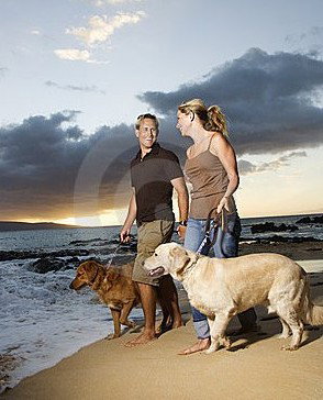 Four Seasons Holiday Park - Holiday Adelaide 3