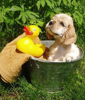 Four Seasons Holiday Park - Holiday Adelaide 4