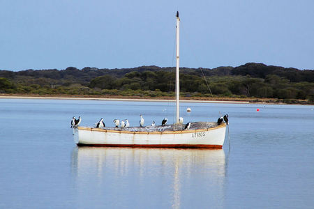 Riverview Cottage - Holiday Adelaide 1