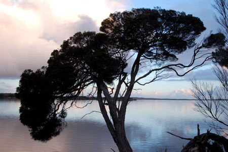 Riverview Cottage - Holiday Adelaide 4