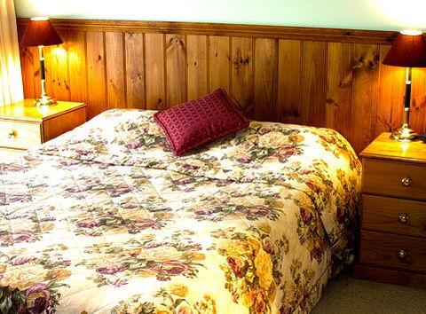 Mountain View Motor Inn And Holiday Lodges - Holiday Adelaide 1