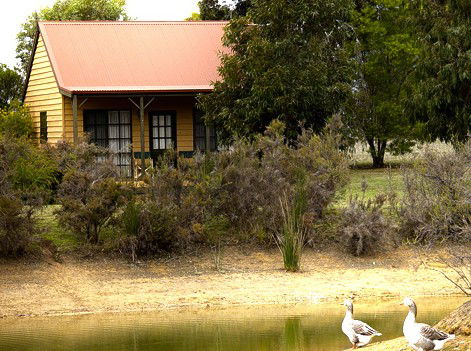 Mountain View Motor Inn And Holiday Lodges - Holiday Adelaide 2