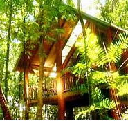 The Canopy Treehouses - Holiday Adelaide