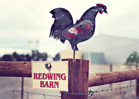 Redwing Farm - The Barn - Holiday Adelaide 0