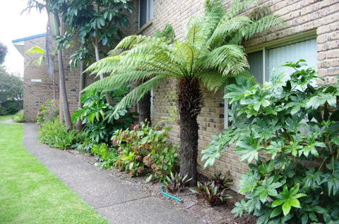 Beachfront Units Merimbula - Holiday Adelaide 3