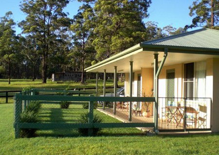 Neds Bed Horse O Tel - Holiday Adelaide 1