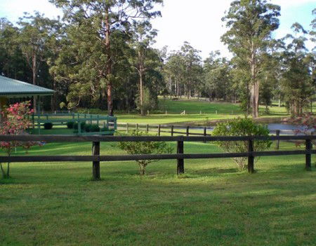 Neds Bed Horse O Tel - Holiday Adelaide 2