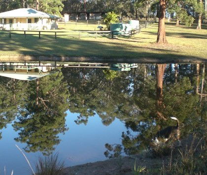 Neds Bed Horse O Tel - Holiday Adelaide 4