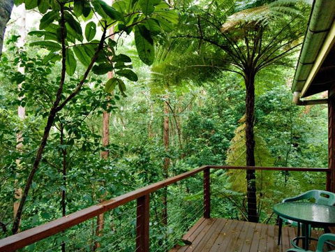 Tree Houses Of Montville - Holiday Adelaide 3