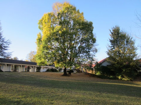 Moore Park Inn - Holiday Adelaide 0