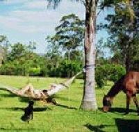 Neds Bed Horse O Tel - Holiday Adelaide